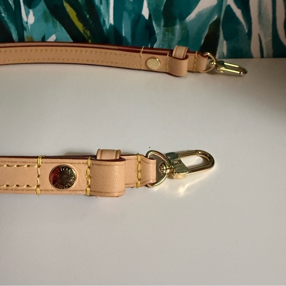 Brand New Louis Vuitton x Takashi Murakami Cerise Ivy Shoulder and Crossbody Bag - Picture 9 of 12